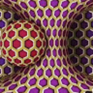 Meet your Posher, Phillip